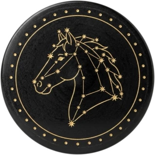 Ashwini nakshatra medallion
